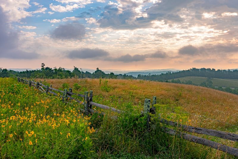 Ridgetop Meadows Add Room For The Flowers To Show Off