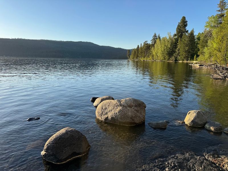 This Quiet Idaho Lake Is At The Center Of A Heated Debate - Decor Hint Payette Lake Looks Peaceful Enough To Hide A Very Loud Debate