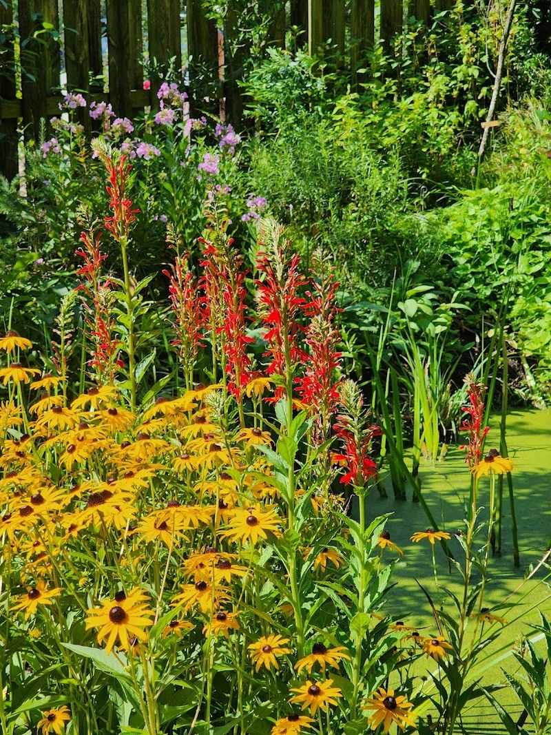 Rare Blooms Make Every Turn Feel Different