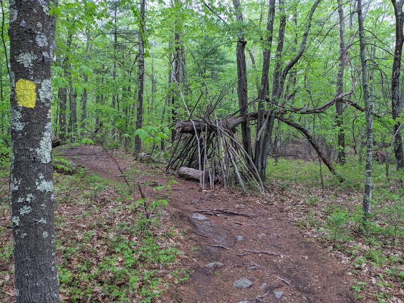 Basic Things About The Trail