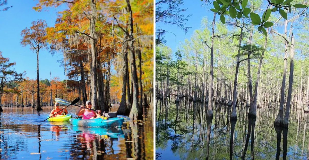 You Wont Believe This Beautiful Enchanting Georgia State Park Has Been Here All Along - Decor Hint