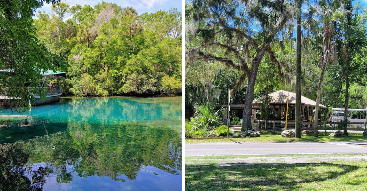 Youll Fall In Love With This Relaxing Florida Park And Its Friendly Animals - Decor Hint
