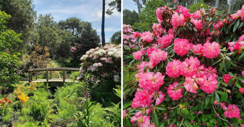 Your First Visit To This 47-Acre Magical Botanical Garden Hiding In California Will Stay With You