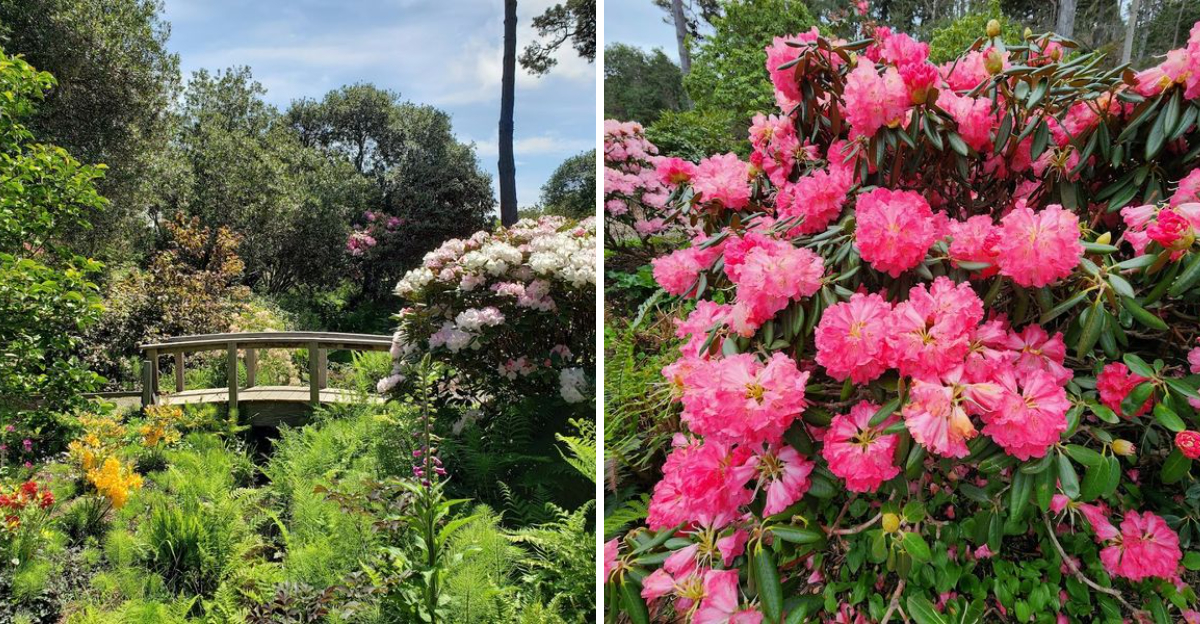 Your First Visit To This 47 Acre Magical Botanical Garden Hiding In California Will Stay With You - Decor Hint