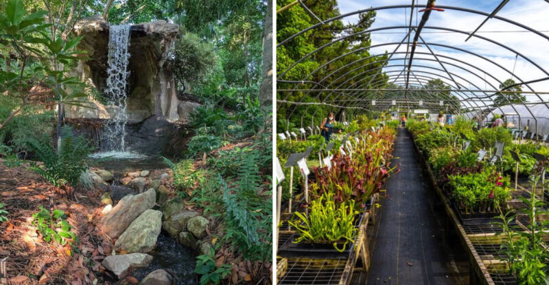 Your First Visit To This Rare 28-Acre North Carolina Garden Will Feel Like Finding A Secret Wonderland