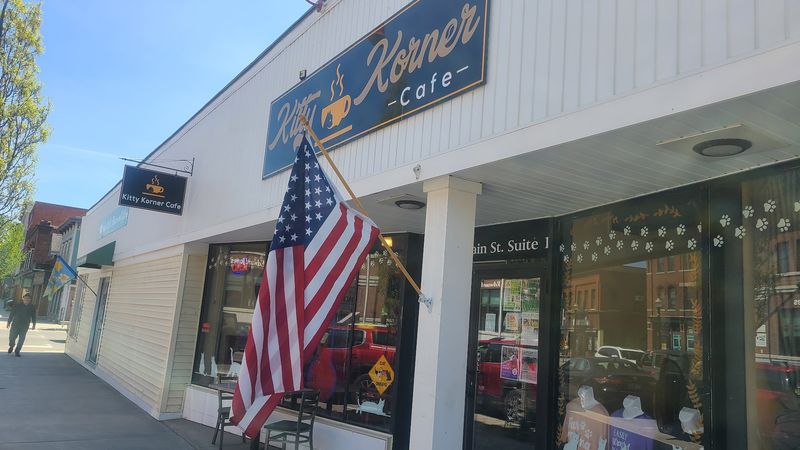 A Cafe With Purr-fect Purpose