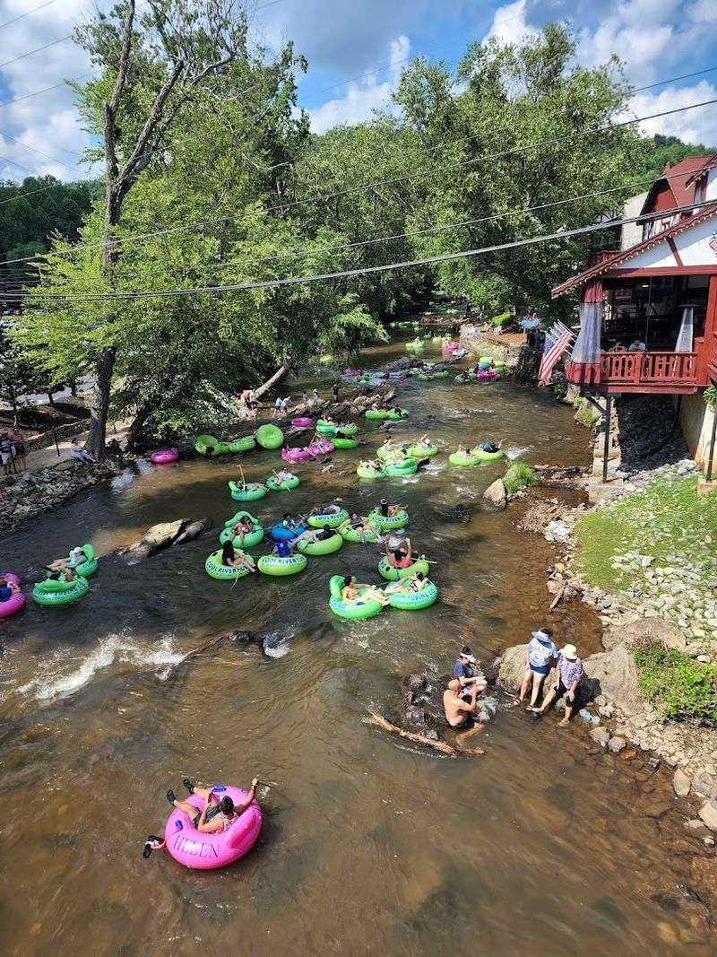 Dog-Friendly Floating Policy