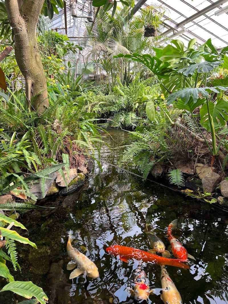 Connecticut's Beardsley Zoo, Bridgeport