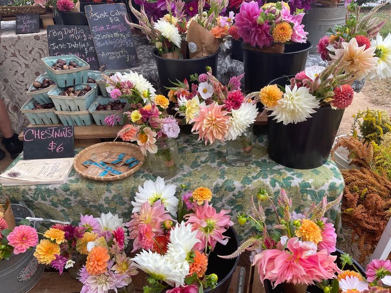 Grant Park Farmers Market, Atlanta