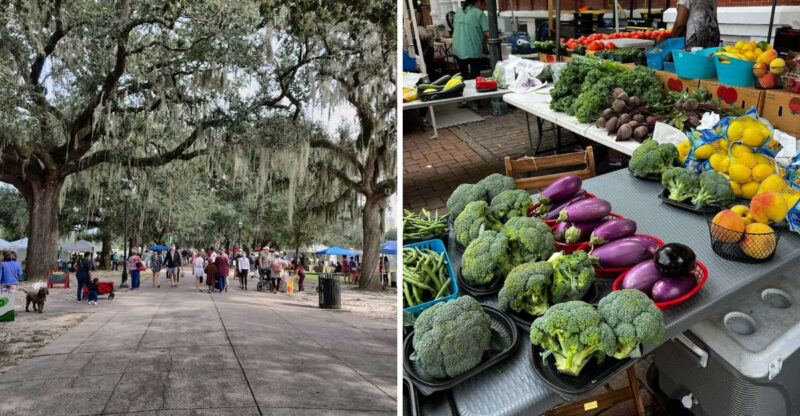 10 Best Georgia Farmers Markets To Visit This July