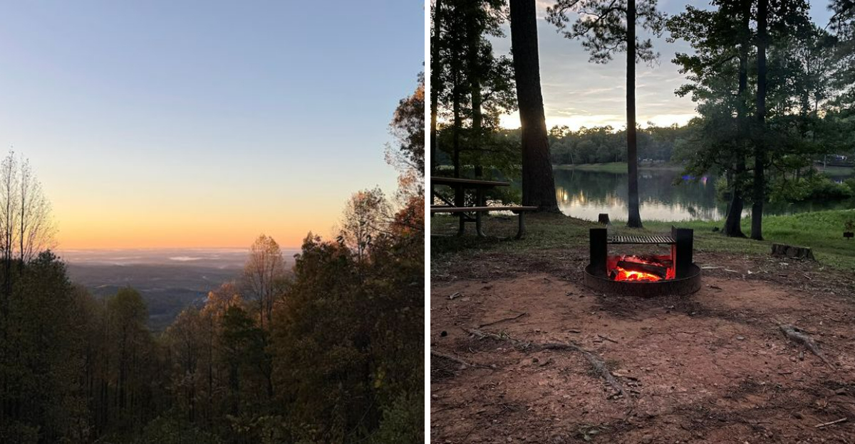 10 Best Stargazing Spots In Georgia Where August Nights Showcase The Full Milky Way - Decor Hint