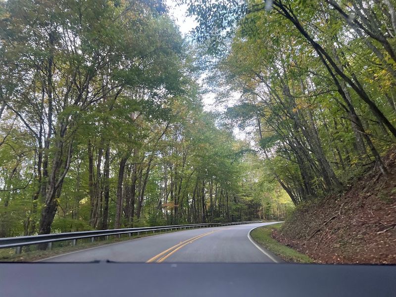 10 Breathtaking Roads In Georgia That Will Have You Pulling Over Nonstop - Decor Hint Richard Russell-Brasstown Scenic Byway, Blairsville