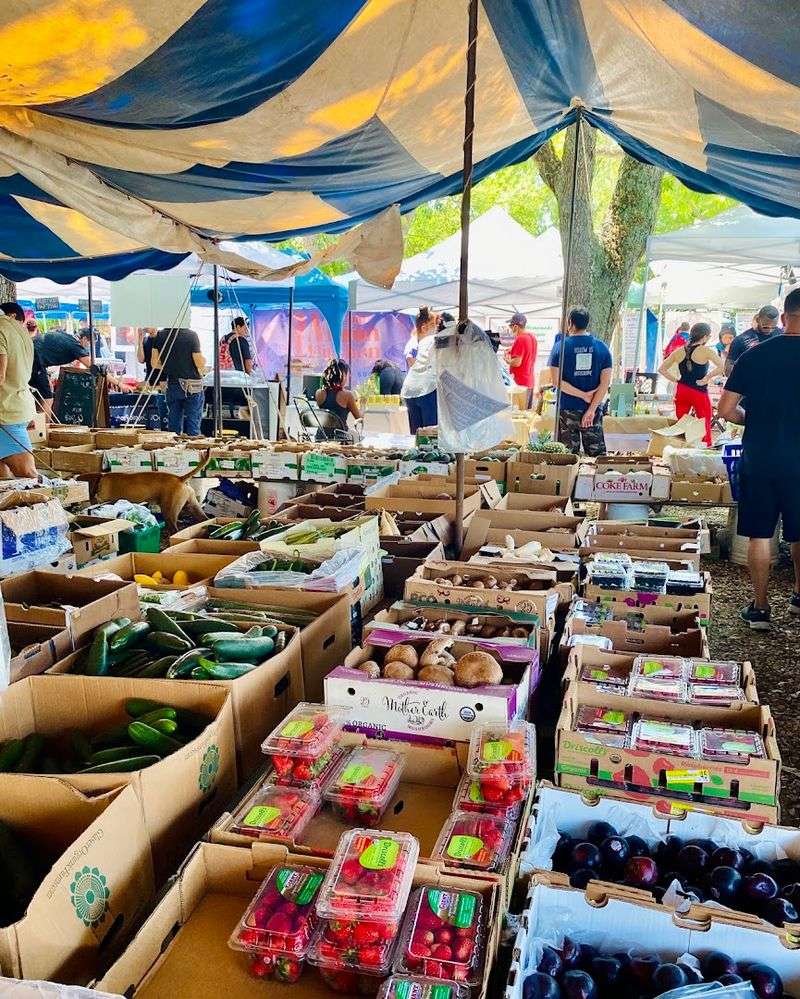 Coconut Grove Farmer's Market, Miami