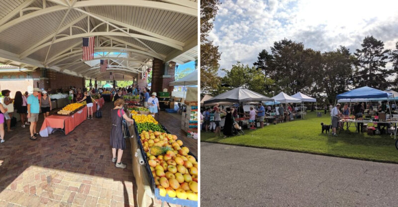 10 Compelling Florida Farmers Markets Worth Visiting Before July Ends
