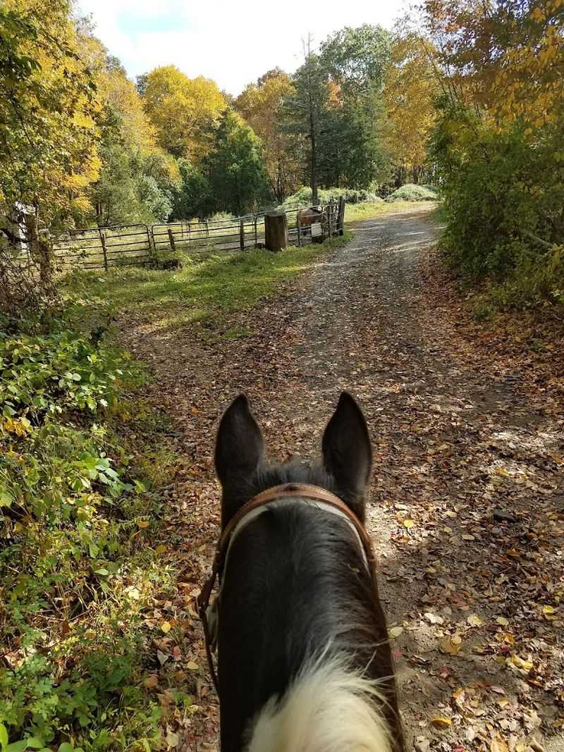 Gold Rush Farms, Easton 