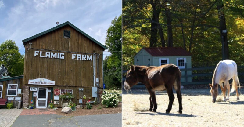 10 Connecticut Ranches Where Families Can Enjoy A Fun Day In The Countryside