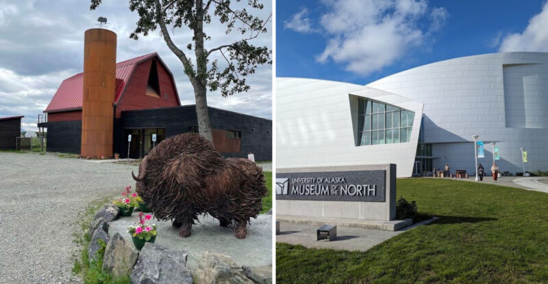 10 Epic Stops In Alaska Every Family With Kids Should Visit