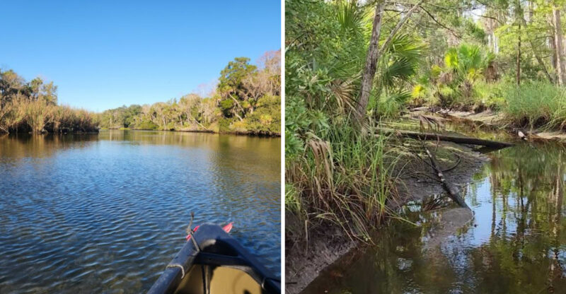 10 Florida Waterways And Fossil Sites Where Ancient Finds Tell A Prehistoric Story