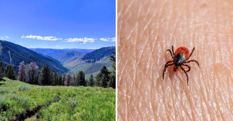 10 Idaho Outdoor Areas Where Visitors Should Stay Tick-Aware This Summer