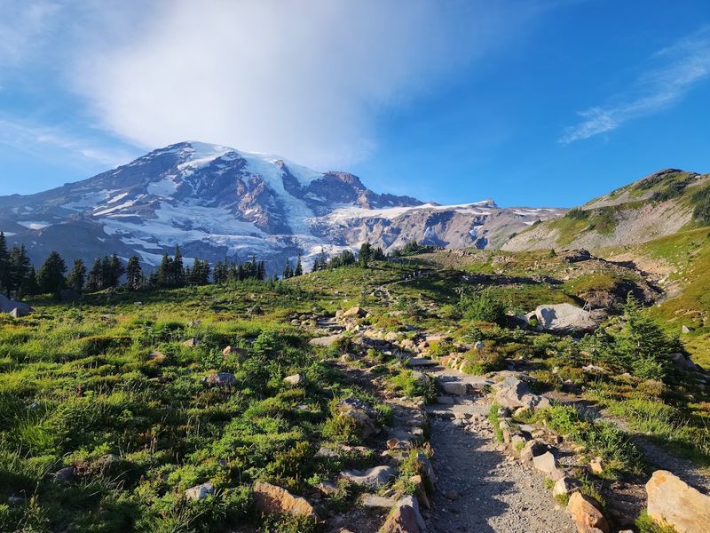 Mount Rainier National Park, Ashford