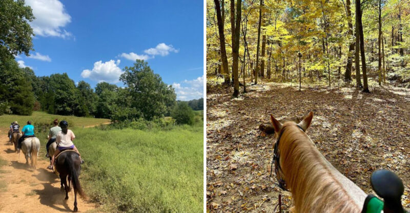 10 Kentucky Horseback Rides So Scenic You Will Forget You Are A Beginner