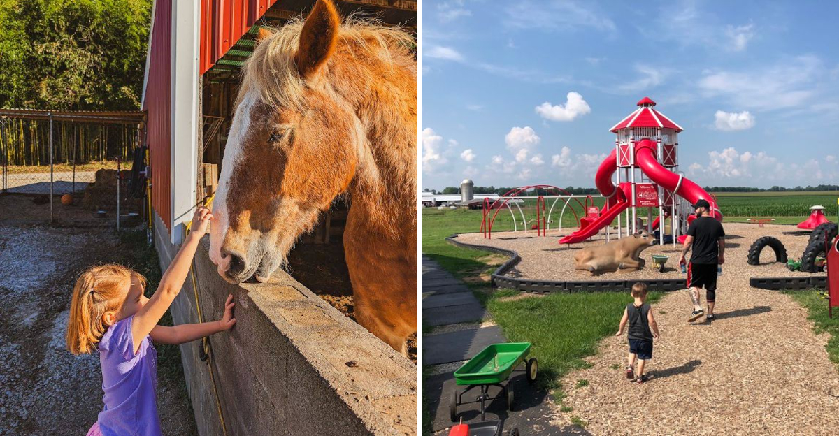 10 Kentucky Places That Turn An Ordinary Weekend Into A Kids Favorite Memory - Decor Hint