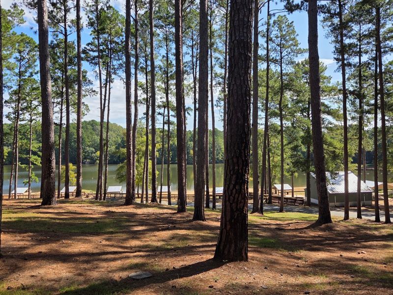 Lake Claiborne State Park, Homer
