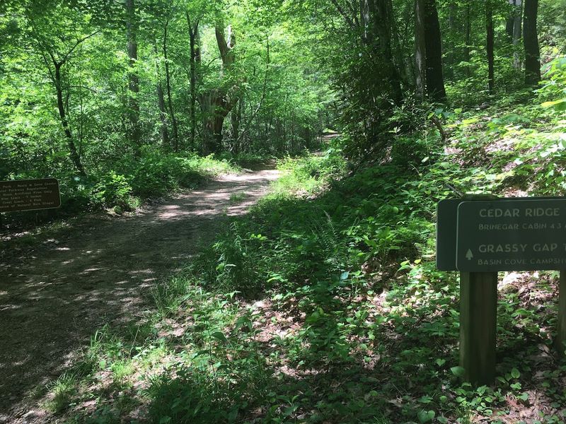 10 North Carolina Outdoor Spots Where Summer Hikers Should Stay Tick-Aware - Decor Hint Sparta / Doughton Park Blue Ridge Parkway Corridor