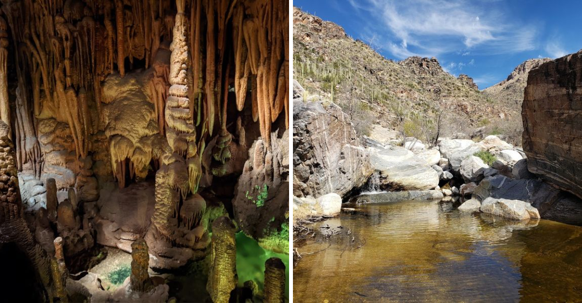 10 Unforgettable Desert Adventures In Arizona You Need To Try - Decor Hint