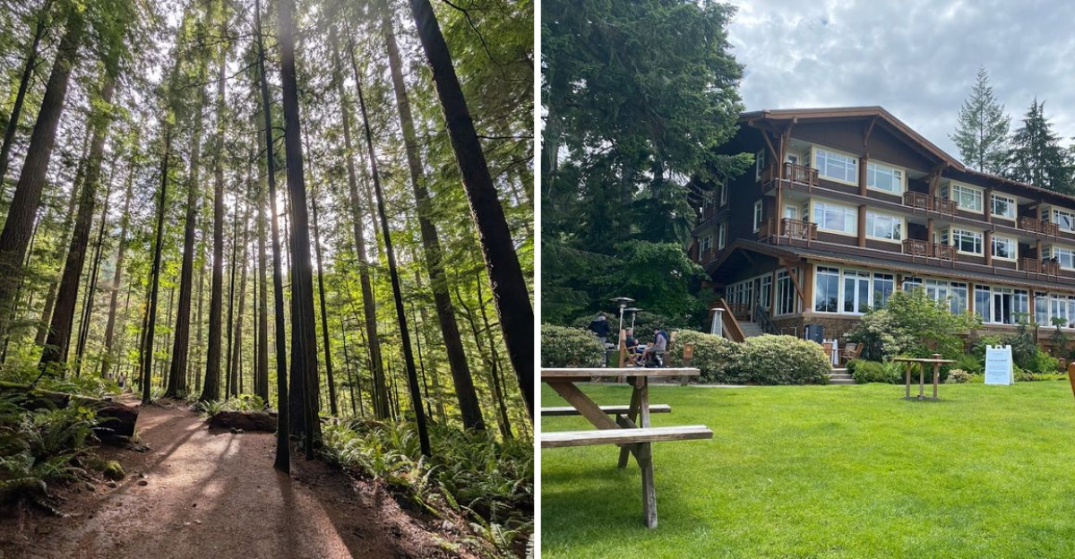 10 Washington Nature Retreats That Feel Peaceful Without The Long Drive - Decor Hint