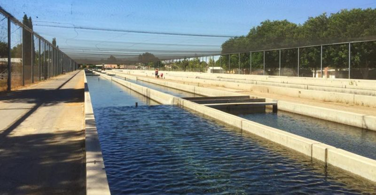 11 California Fish Hatcheries And Trout Farms Where You Can See Conservation History Up Close - Decor Hint