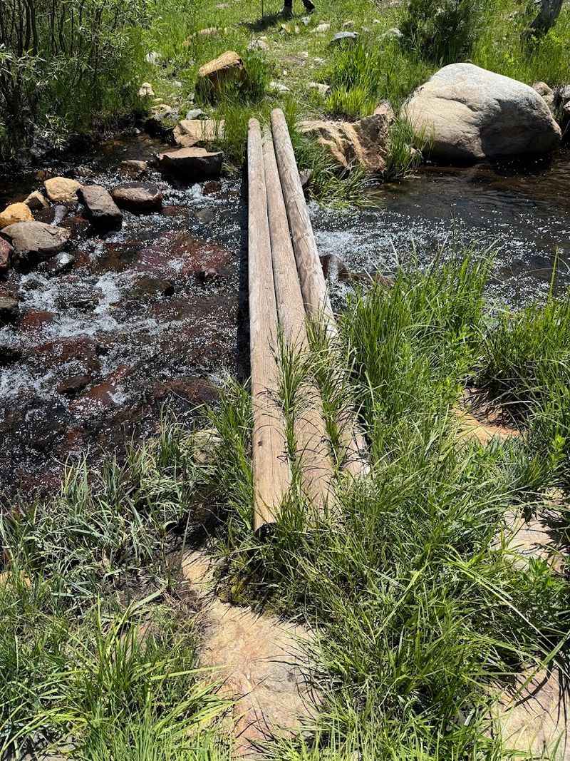 11 California Nature Escapes Where Wildflowers, Birds, And Green Summer Scenery Come Together - Decor Hint Loney Meadow Interpretive Trail, Sierra City