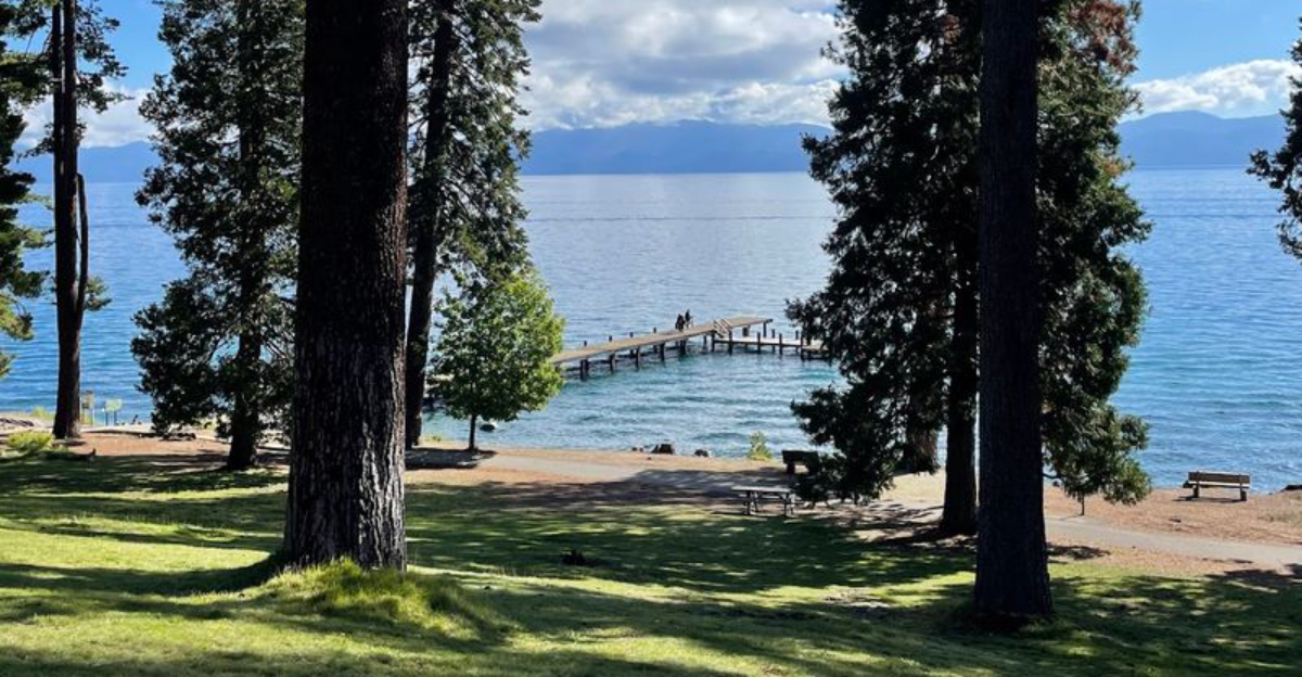 11 California Nature Escapes Where Wildflowers Birds And Green Summer Scenery Come Together - Decor Hint