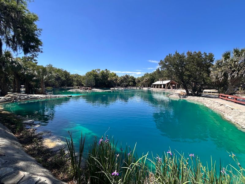 Devil's Den Prehistoric Spring, Williston