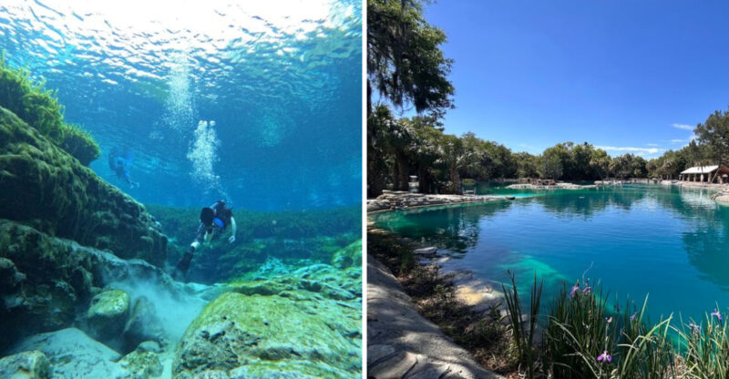 11 Florida Swimming Destinations With Water So Clear You’ll Want To Dive Right In This Summer