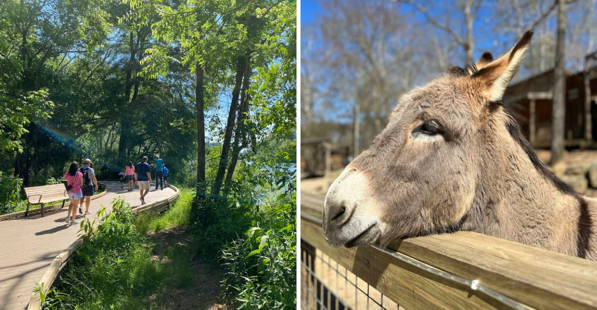 11 Georgia Destinations Where Kids Can Explore Make A Mess And Have Fun - Decor Hint