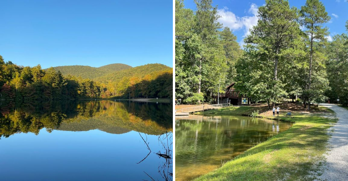 11 Georgia Swimming Holes With Crystal Clear Water Ideal For Summer 2026 - Decor Hint