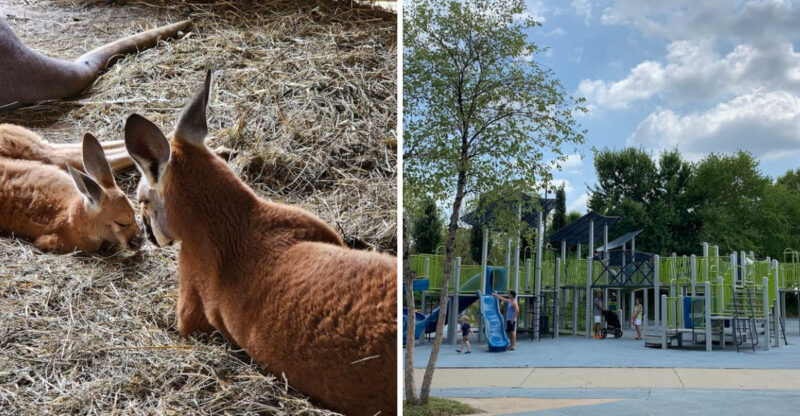 11 Kentucky Places Where Kids Can Explore, Get Messy, And Nobody Minds