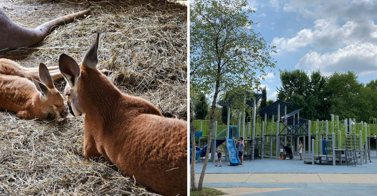 11 Kentucky Places Where Kids Can Explore Get Messy And Nobody Minds - Decor Hint