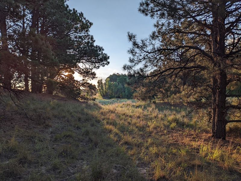 Steer Creek Campground, Cody