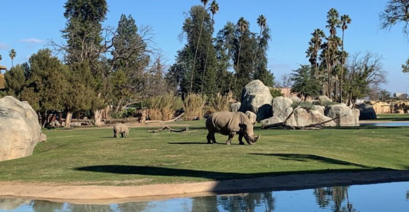 12 Affordable Central California Day Trips That Feel Like A Full Vacation For Under $65