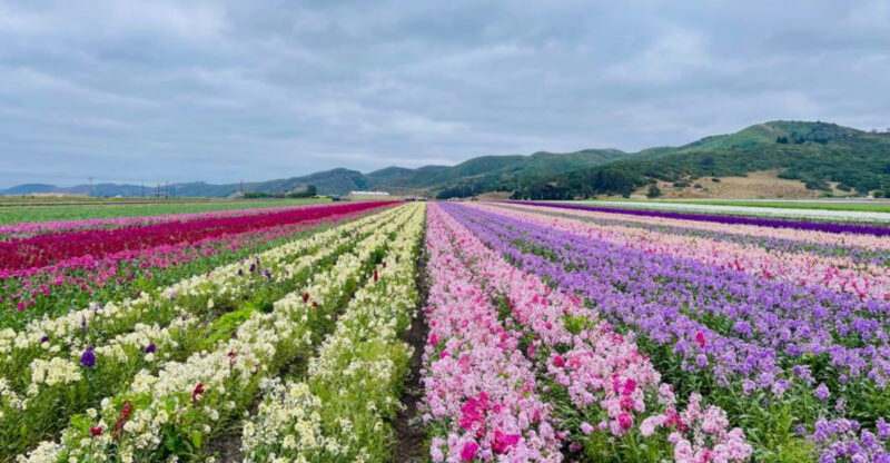 12 California Places Built Around One Very Specific Industry