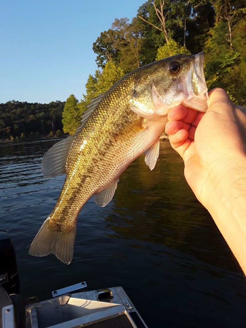 Taylorsville Lake State Park