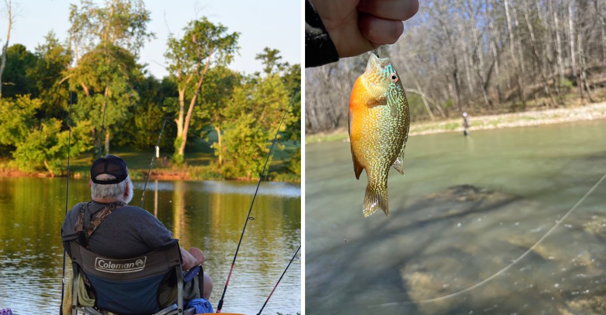 12 Kentucky Fishing Spots Where A Slow Day Of Fishing Still Feels Perfect - Decor Hint