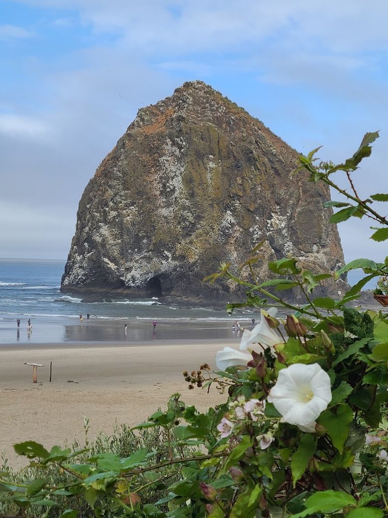 Cannon Beach