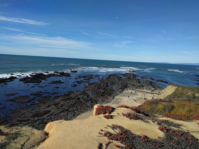 Fitzgerald Marine Reserve, Moss Beach