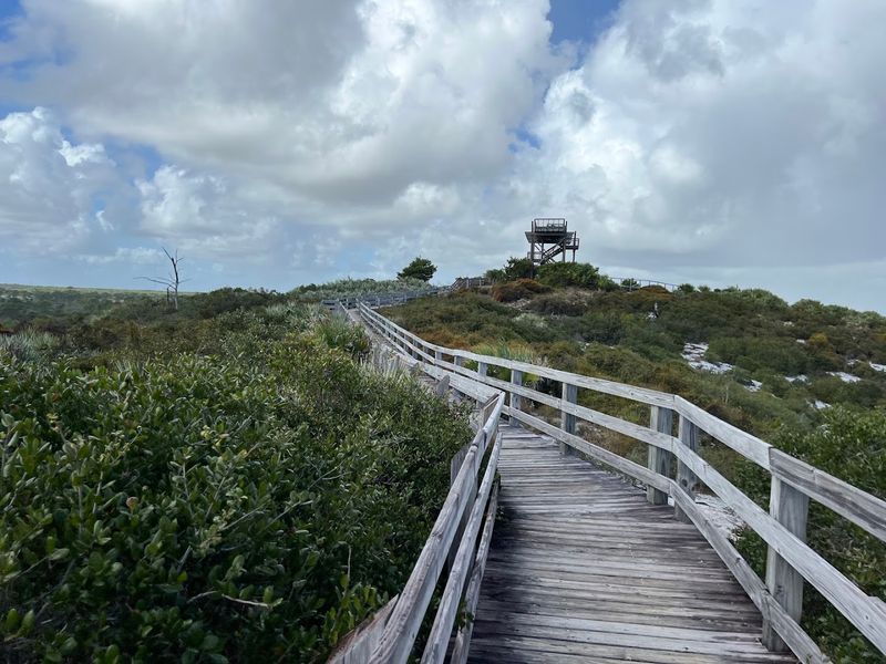 13 Florida Hikes Under Five Miles That Reward You With Amazing Views - Decor Hint Hobe Mountain Trail, Jonathan Dickinson State Park, Hobe Sound