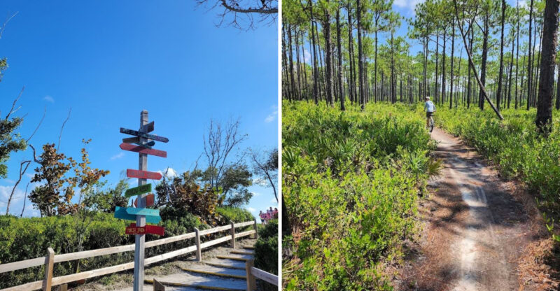 13 Florida Hikes Under Five Miles That Reward You With Amazing Views