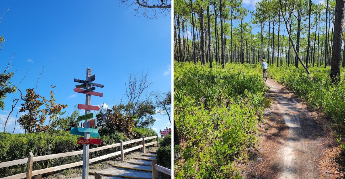 13 Florida Hikes Under Five Miles That Reward You With Amazing Views - Decor Hint