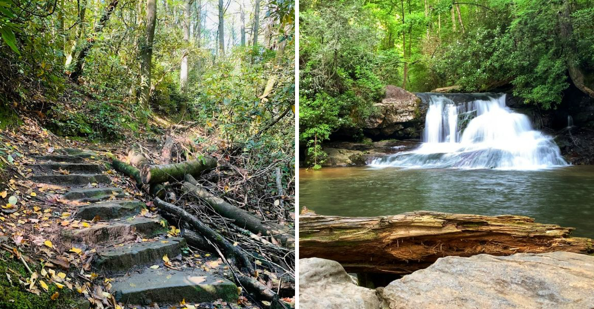 13 Georgia Trails Perfect For Waterfalls And Mountain Views - Decor Hint